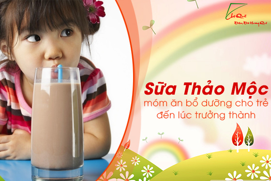 sữa thảo mộc 